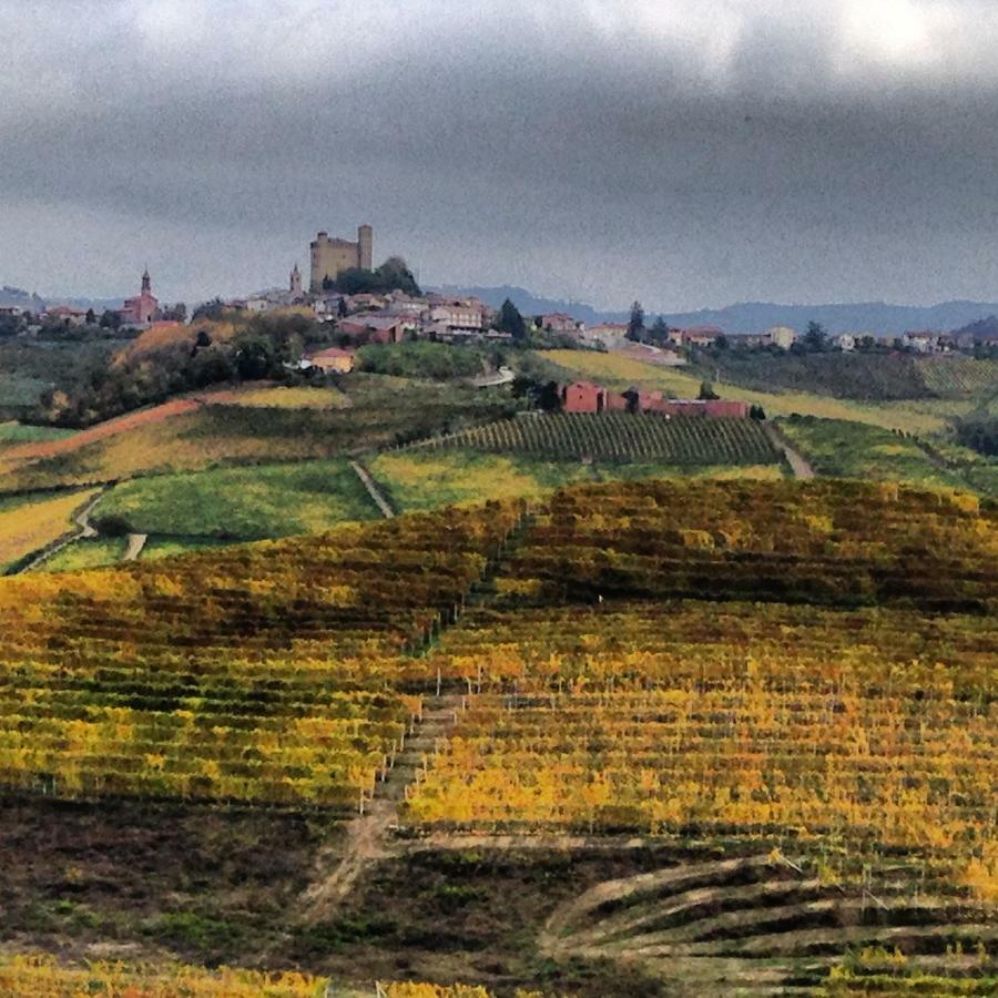 Vila Cascina Maina Diano dʼAlba Exteriér fotografie